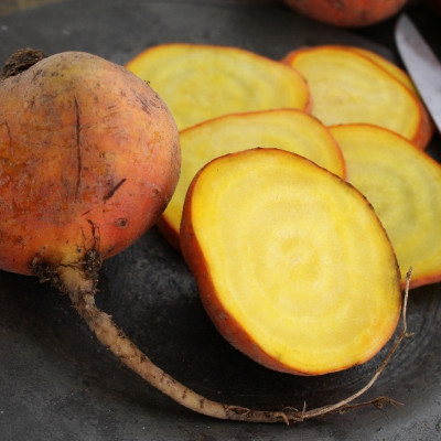 BIO - Goldene Rote Beete