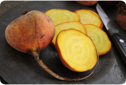 BIO - Goldene Rote Beete