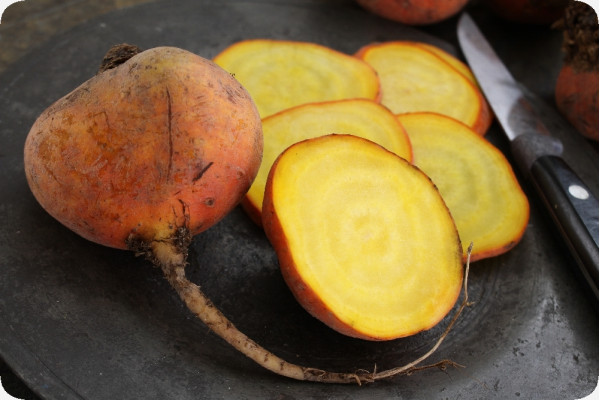 BIO - Goldene Rote Beete