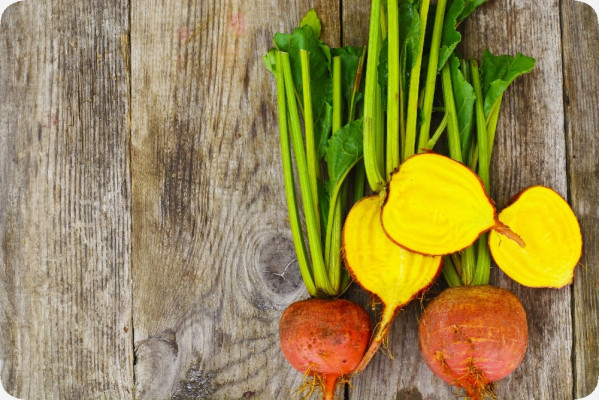 BIO - Goldene Rote Beete
