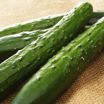 BIO - Gurke - Marketmore