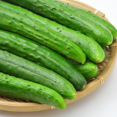 BIO - Gurke - Marketmore