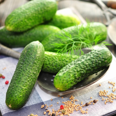 Organic cucumber - foothill grape