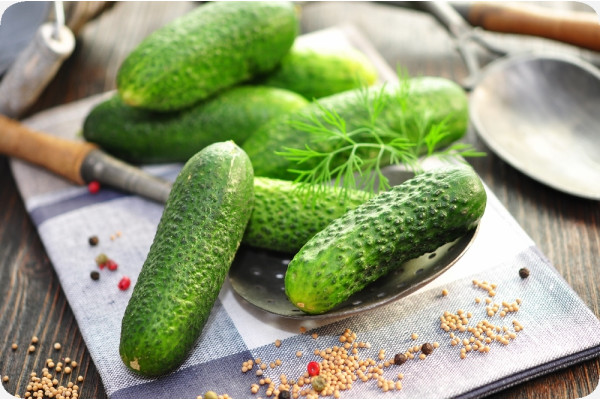 Organic cucumber - foothill grape