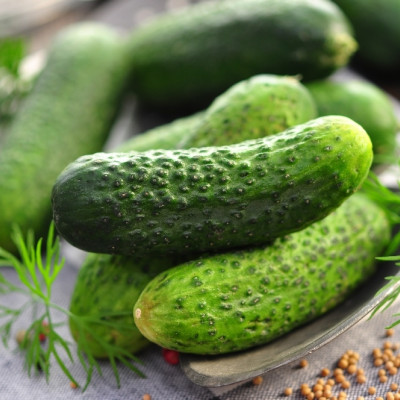 Organic cucumber - foothill grape