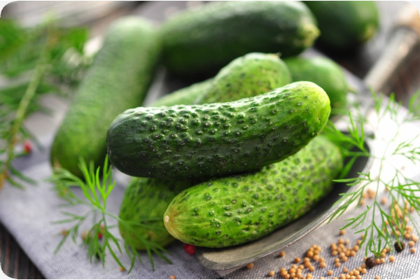 Organic cucumber - foothill grape