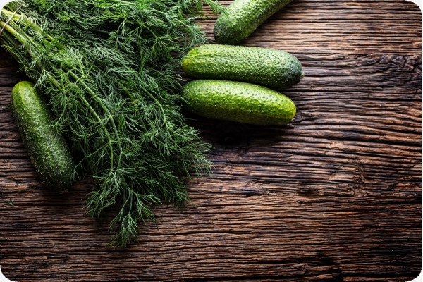 Organic cucumber - foothill grape