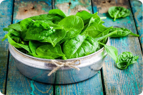 Organic - Spinach - Winter Giant