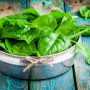 Organic - Spinach - Winter Giant