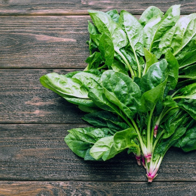 Organic - Spinach - Winter Giant