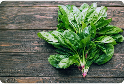 ORGANIC - Spinach - Winter Giant