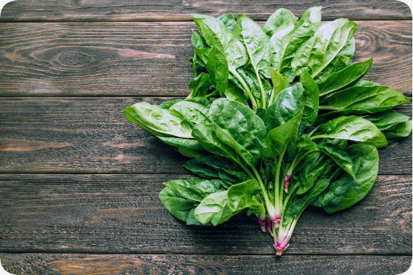 Organic - Spinach - Winter Giant