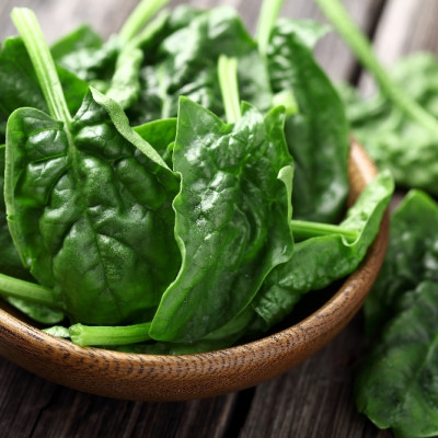Organic Spinach - Matador