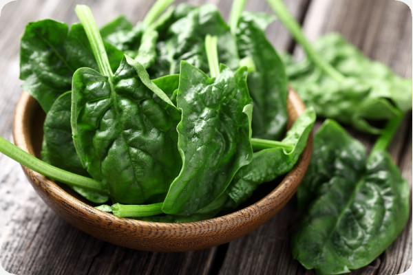 Organic Spinach - Matador