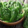 Organic Spinach - Matador