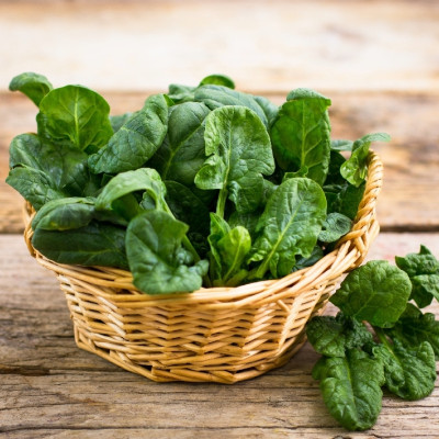 Organic Spinach - Matador