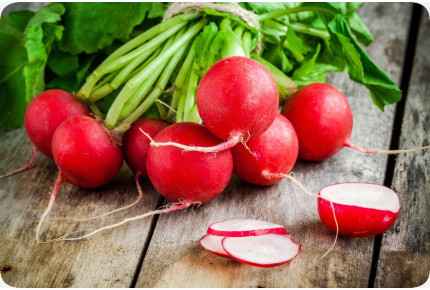 BIO - Radieschen - Cherry Bell