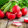 Organic - Radish - Cherry Bell