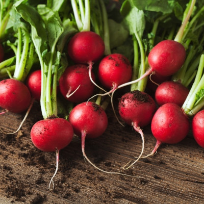 Organic - Radish - Cherry Bell