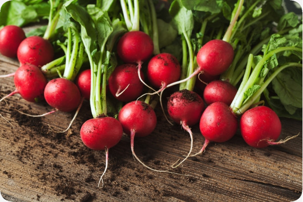 Organic - Radish - Cherry Bell