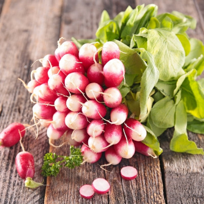 Organic Radishes - French Breakfast