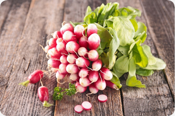 Organic Radishes - French Breakfast