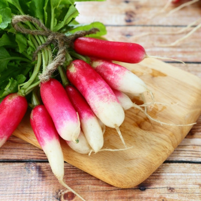 Organic Radishes - French Breakfast