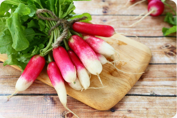 Organic Radishes - French Breakfast