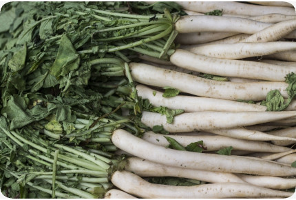 ORGANIC - radishes - icicles