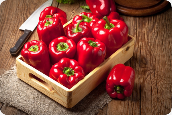 BIO - Paprika - California Wonder - Rot