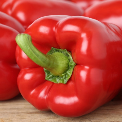 BIO - Paprika - California Wonder - Rot