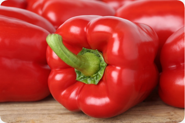 BIO - Paprika - California Wonder - Rot