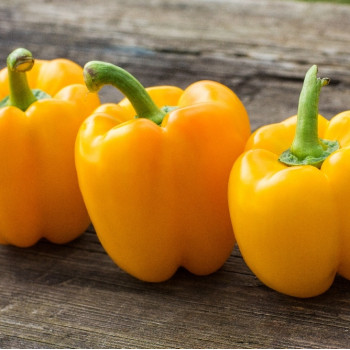 BIO - Paprika - Golden California Wonder