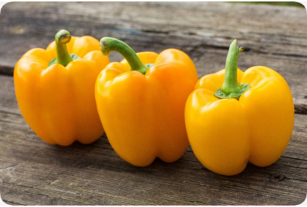 BIO - Paprika - Golden California Wonder