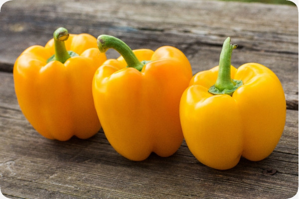BIO - Paprika - Golden California Wonder