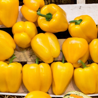 BIO - Paprika - Golden California Wonder