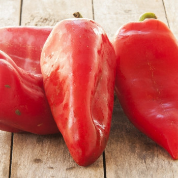 BIO - Paprika - Long Red Marconi