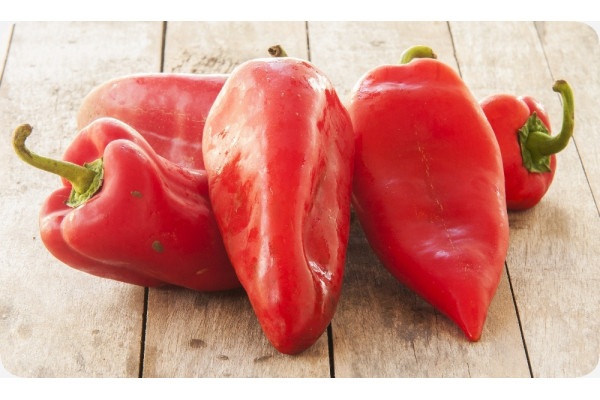 BIO - Paprika - Long Red Marconi