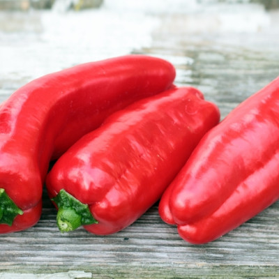 BIO - Paprika - Long Red Marconi
