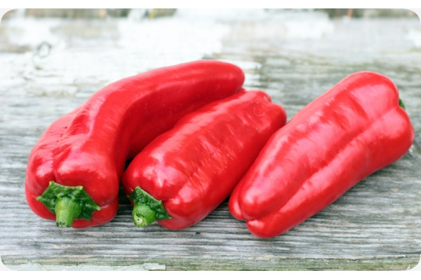 BIO - Paprika - Long Red Marconi