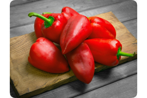 BIO - Paprika - Long Red Marconi