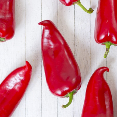 BIO - Paprika - Long Red Marconi
