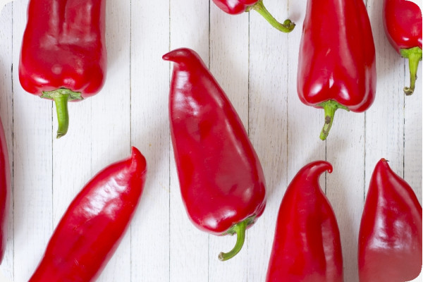 BIO - Paprika - Long Red Marconi