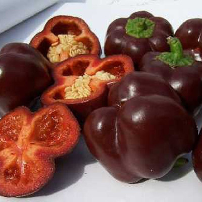 BIO - Paprika - Sweet Chocolate