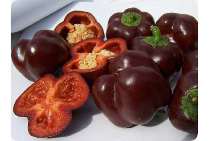 BIO - Paprika - Sweet Chocolate