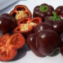 BIO - Paprika - Sweet Chocolate