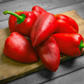 BIO - Chili - Barak
