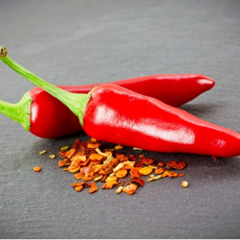 BIO - Chili - Barak