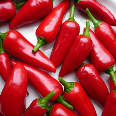 Organic Chili Barak