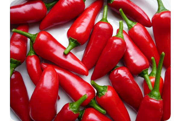 Organic Chili Barak